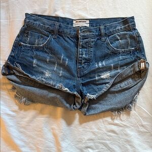 One teaspoon shorts 24